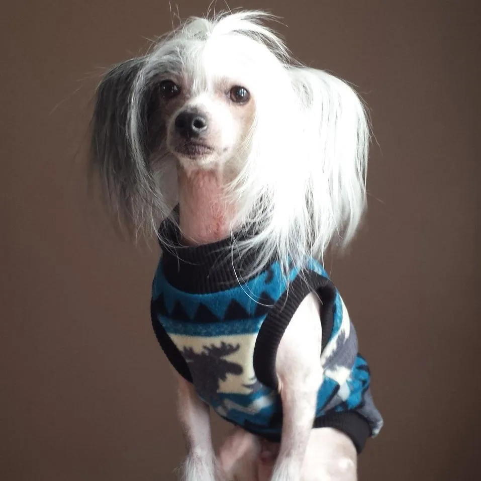 Aztec Polar Fleece Sleeveless Mock Dog Sweatshirt