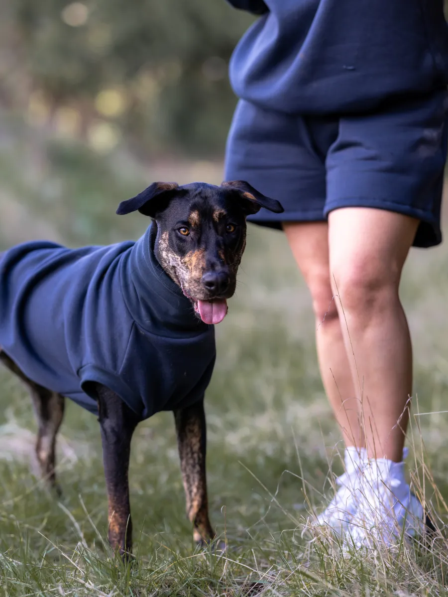 Charcoal Sleeveless Dog Turtleneck