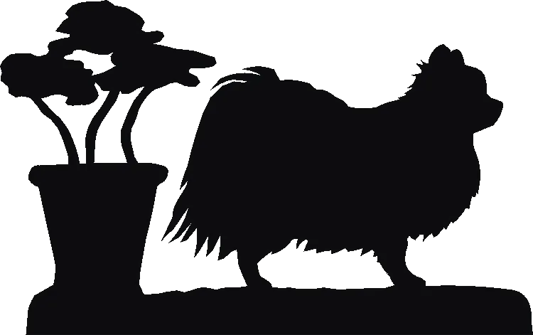 Chihuahua Long Coat Coat Racks