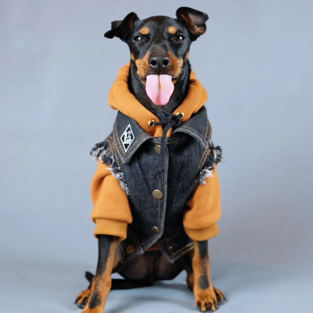 Layer Up! - Sherpa Denim dog vest   Dog Hoodie Set