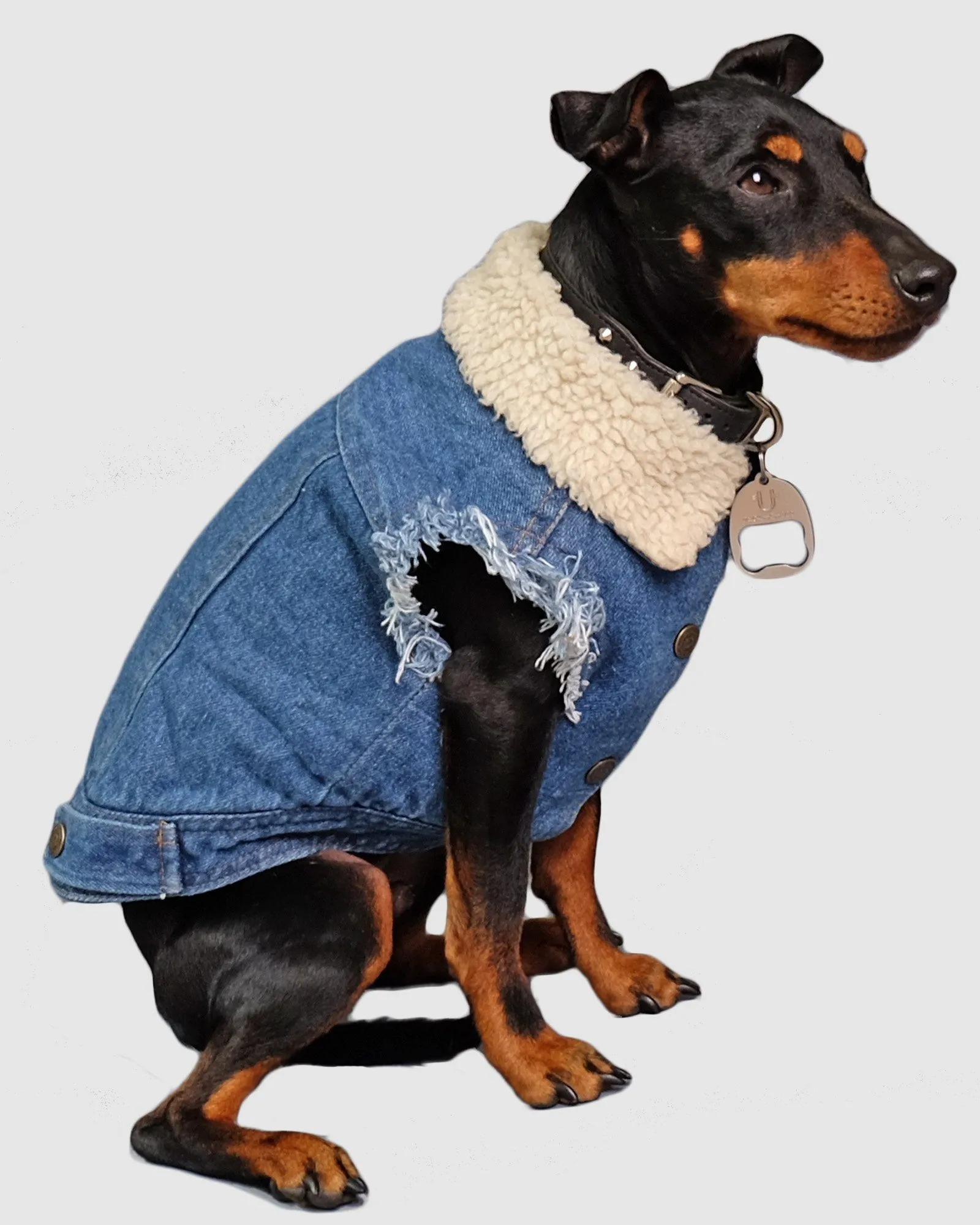 Layer Up! - Sherpa Denim dog vest   Dog Hoodie Set