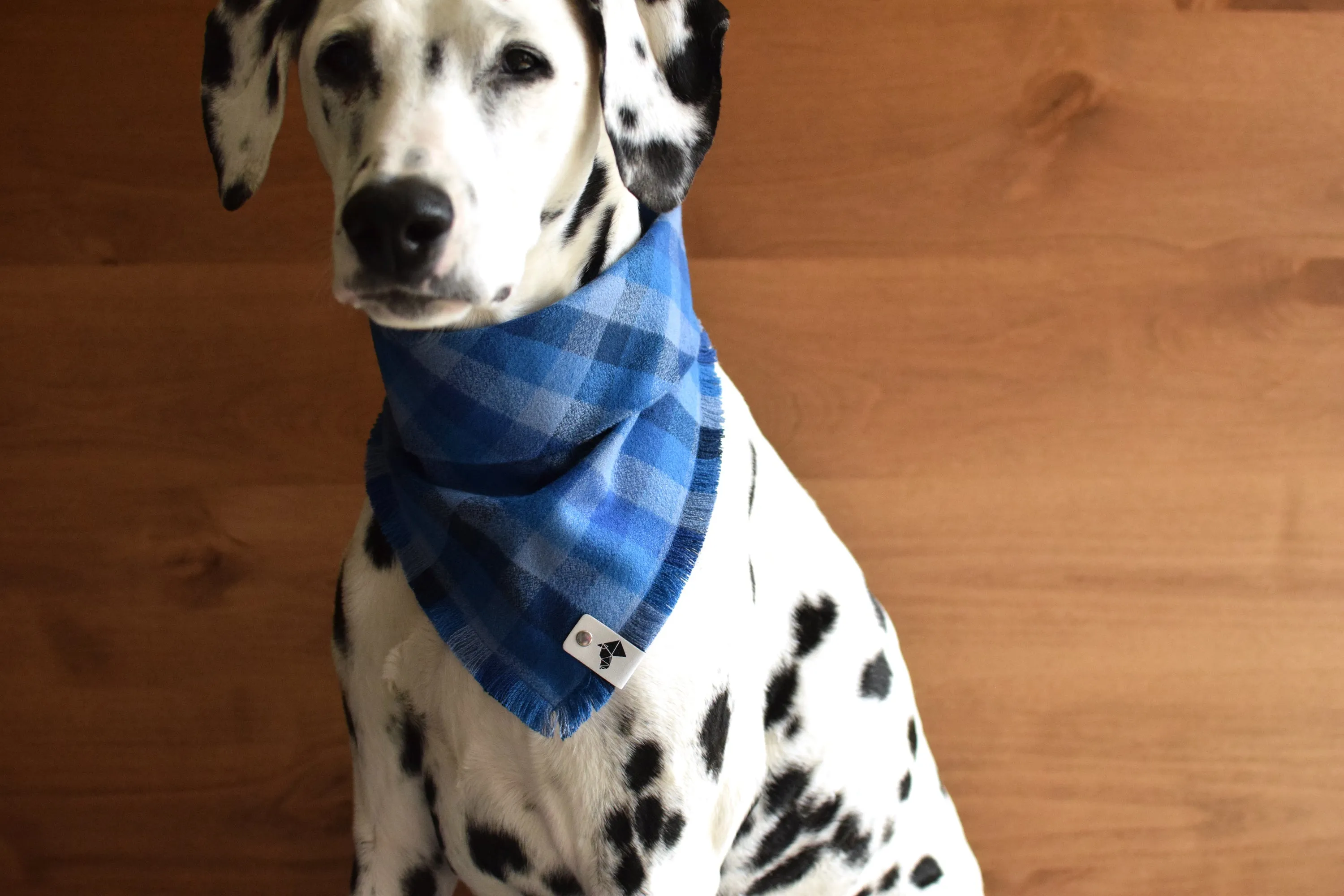 SAPPHIRE Fringed Flannel Dog Bandana - Snap/Tie On Cotton Scarf