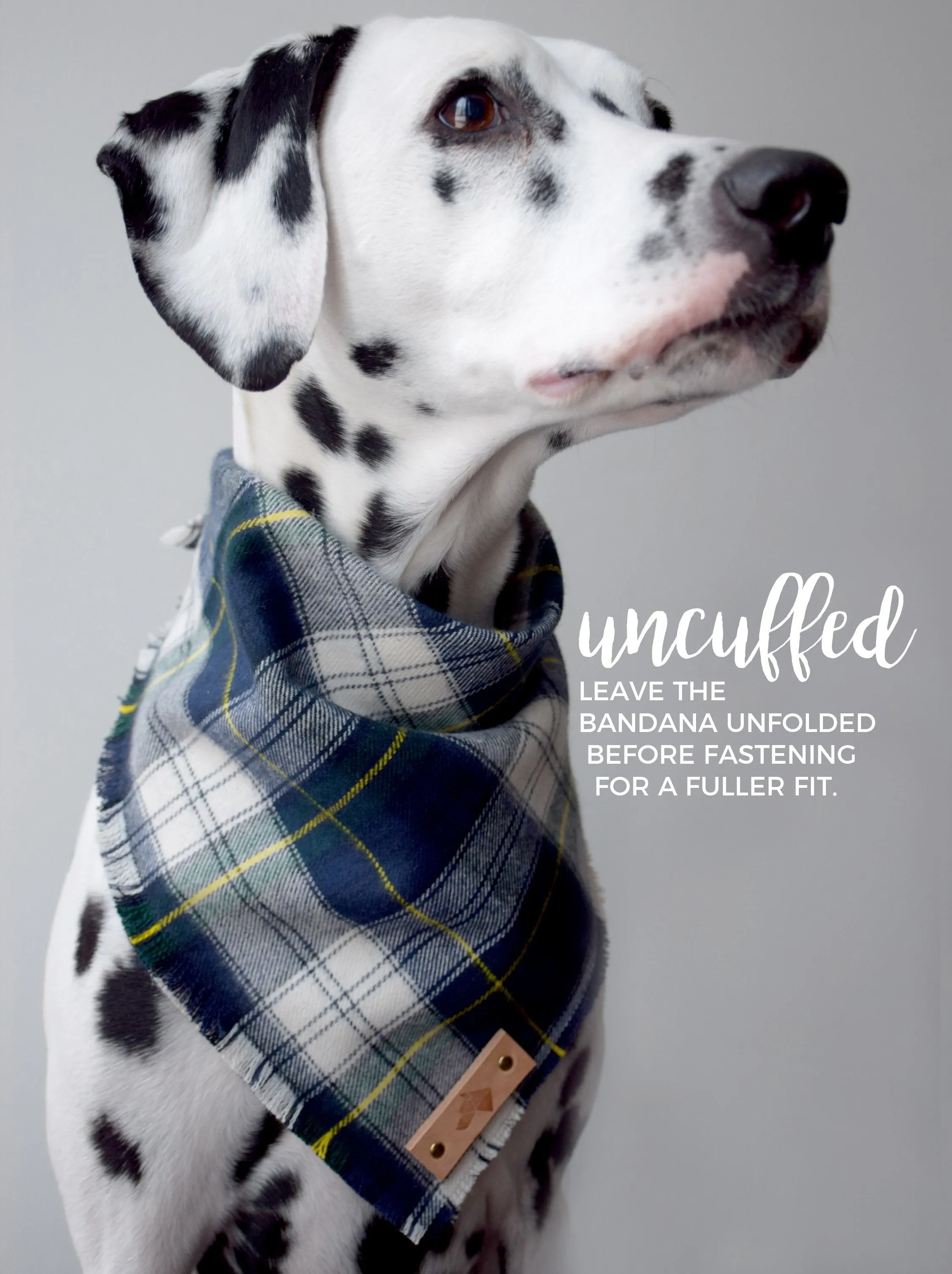 SAPPHIRE Fringed Flannel Dog Bandana - Snap/Tie On Cotton Scarf