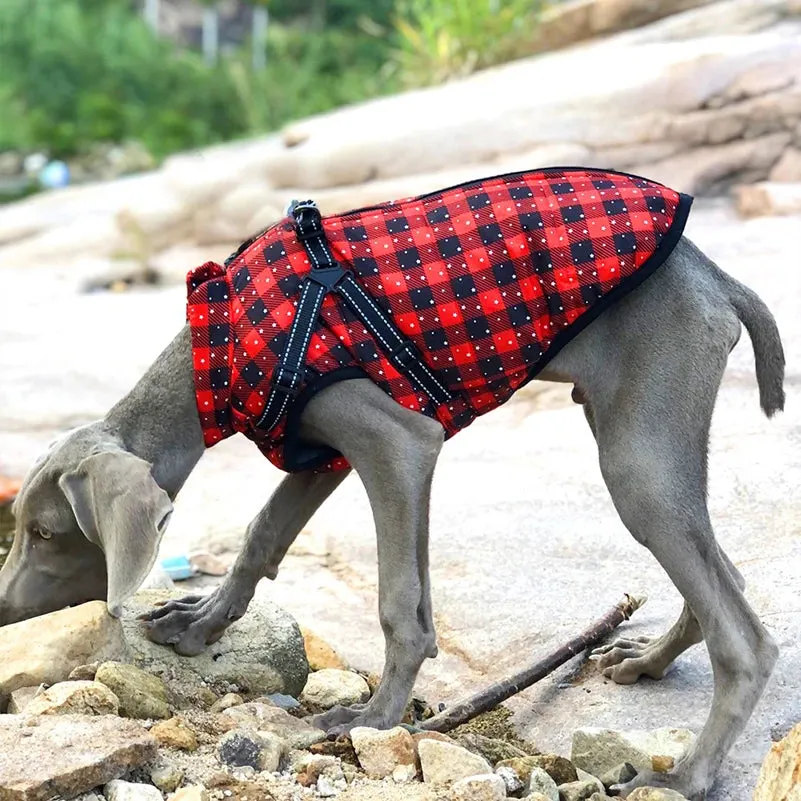 Winter Fleece Dog Jacket with Integrated Harness
