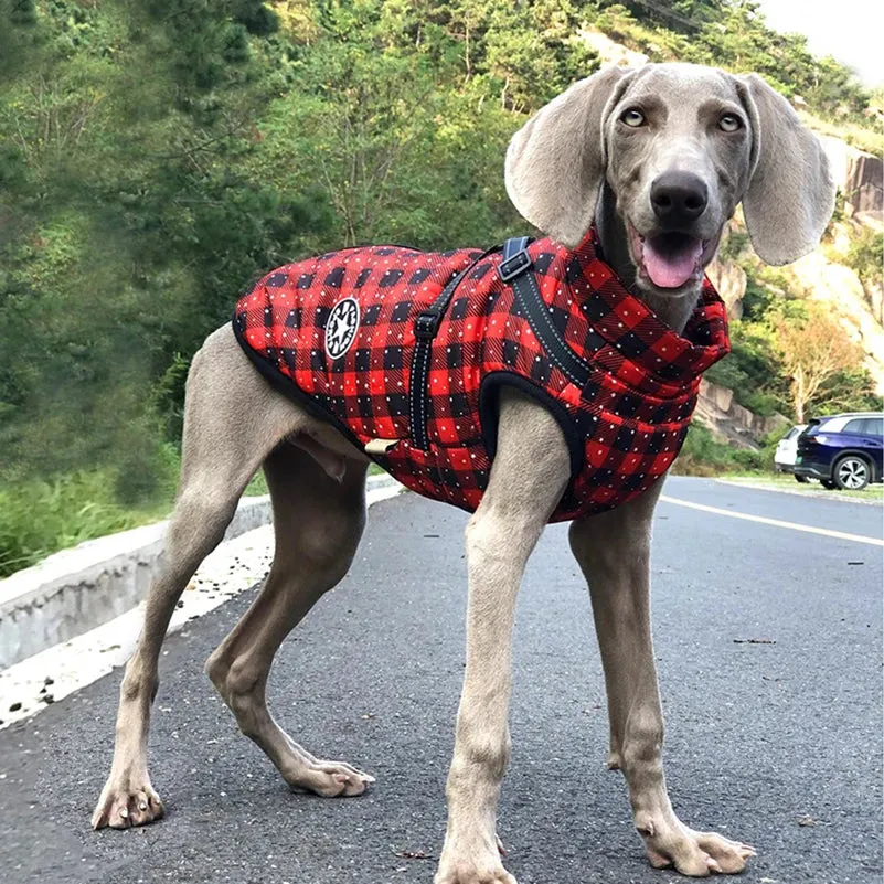 Winter Fleece Dog Jacket with Integrated Harness