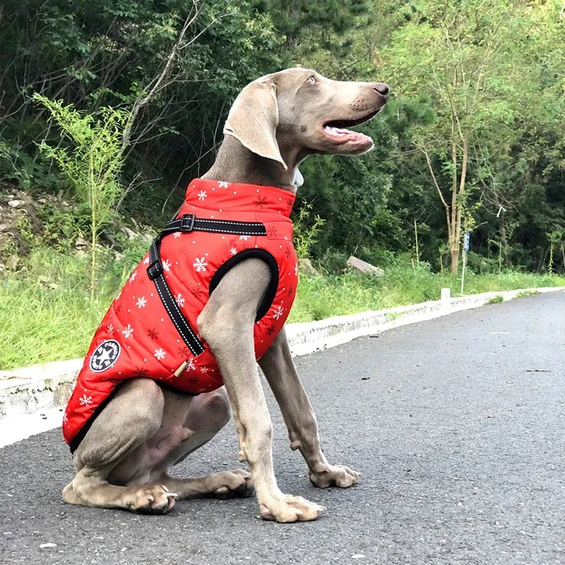 Winter Fleece Dog Jacket with Integrated Harness